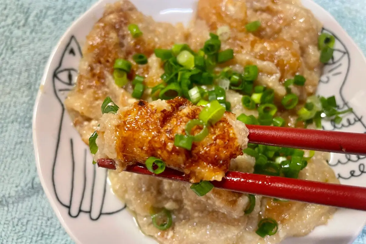 sirabee20231109renkon8