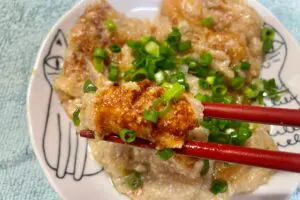 sirabee20231109renkon8