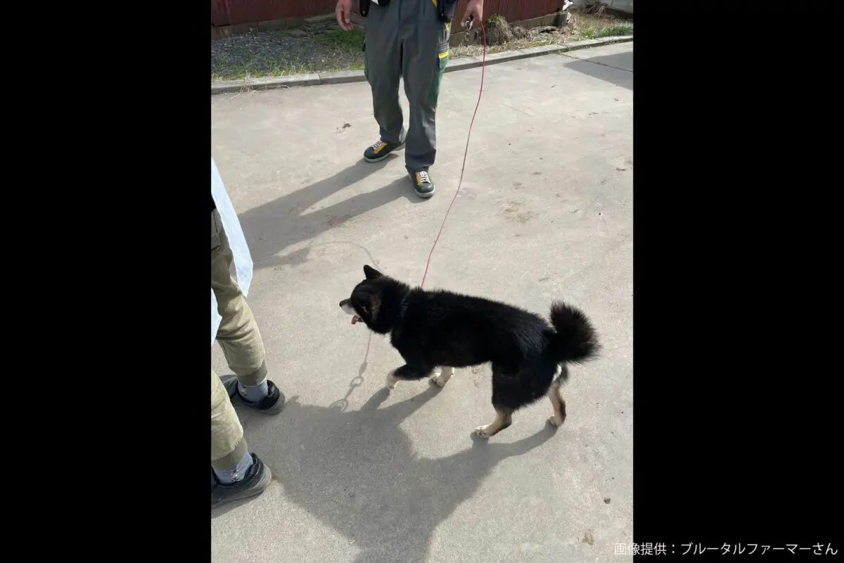 sirabee20231110yamato2