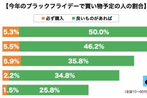 ブラックフライデー