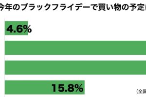 ブラックフライデー