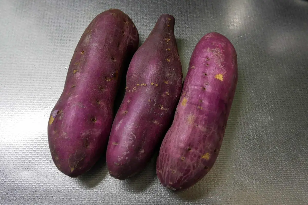 sirabee20231115satsumaimo1