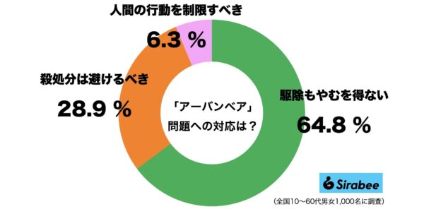 アーバンベア