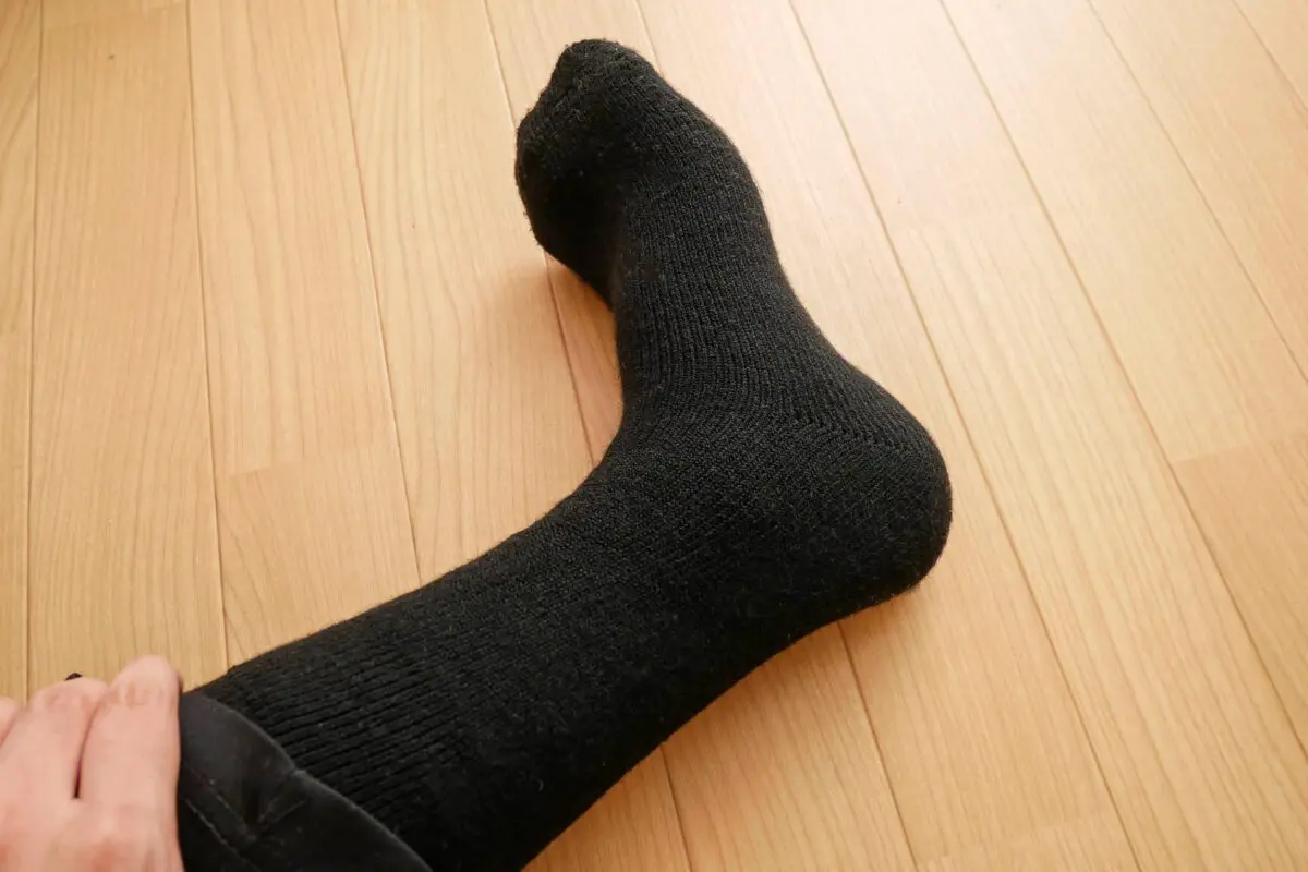 sirabee20231127hokaron4