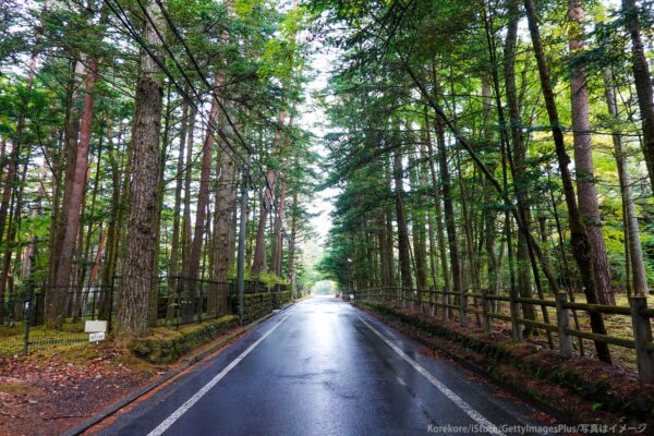 軽井沢の別荘街