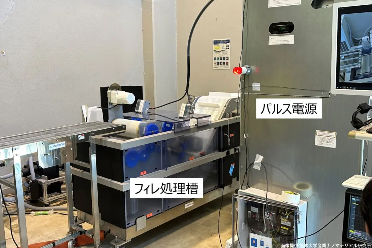 sirabee20231201anisakisu1