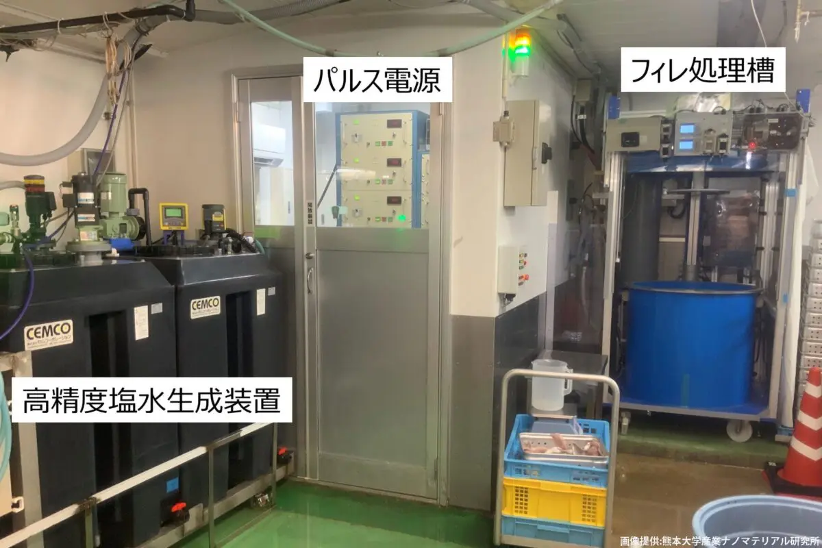 sirabee20231201anisakisu2