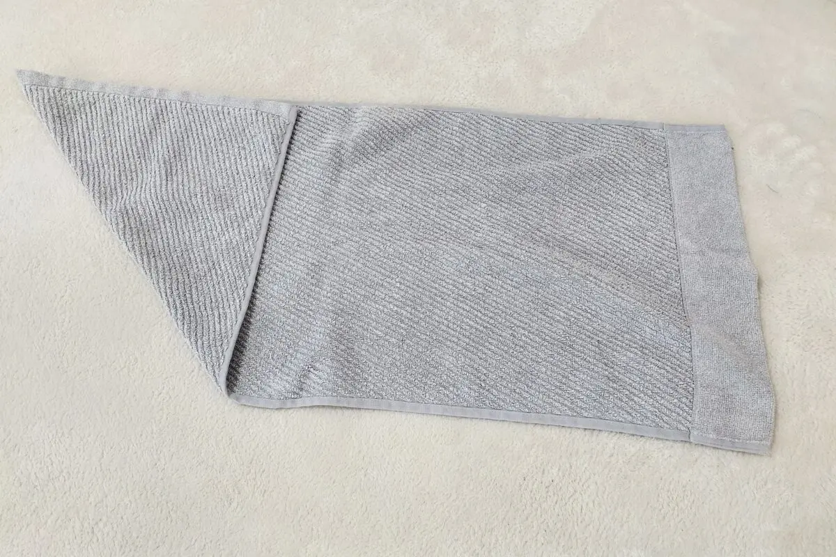 sirabee20231205taoru3