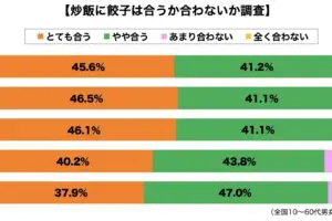 sirabee20231211chahan_gyoza1