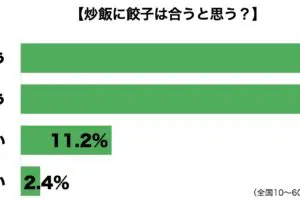 sirabee20231211chahan_gyoza2