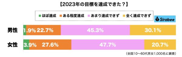 新年の抱負