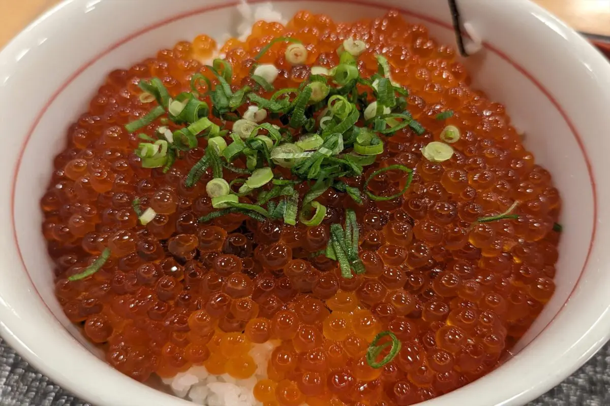 sirabee20231221ikura002