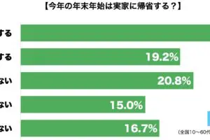 sirabee20231221kisei1