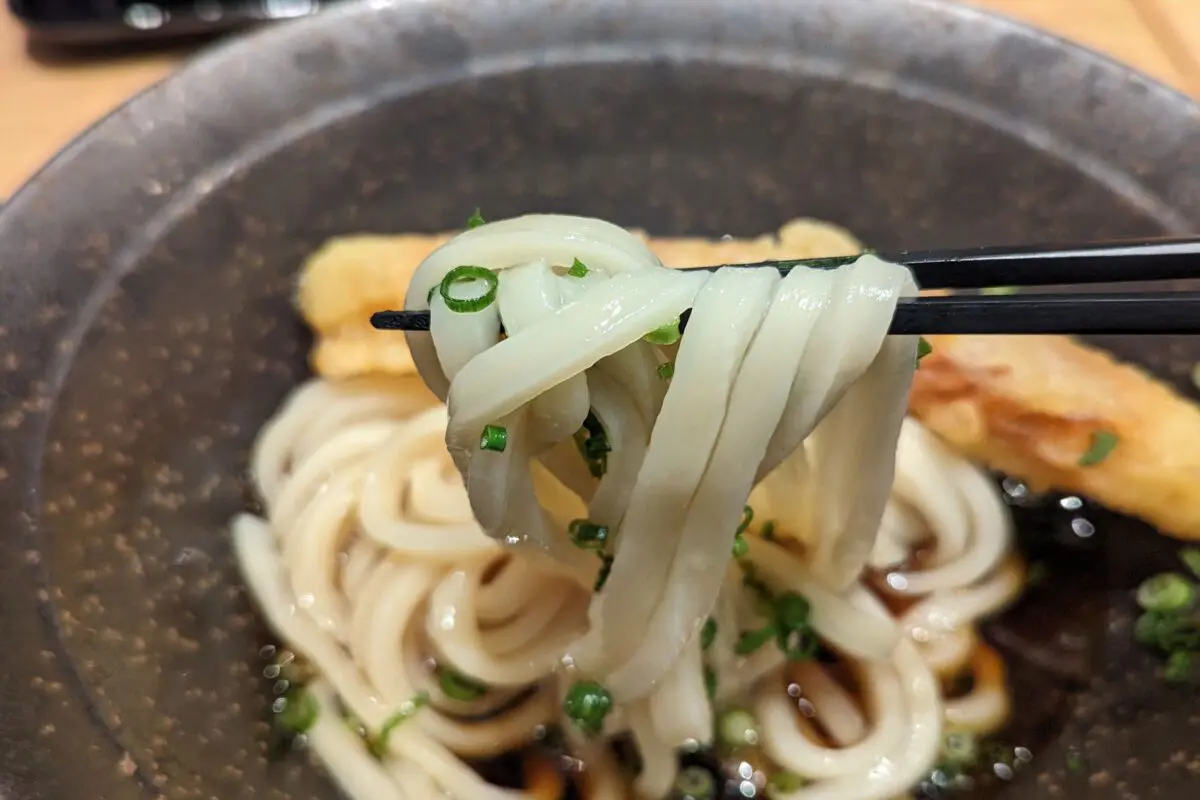 sirabee20231225yama003