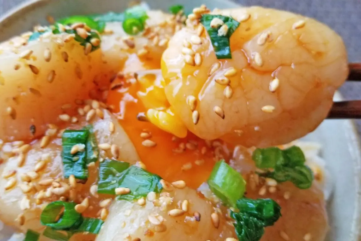 sirabee20231229hotate5