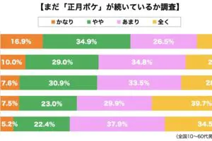 sirabee20240116shogatsuboke2