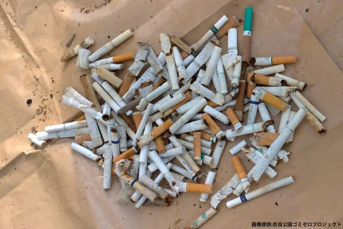 sirabee20240119narakouen1