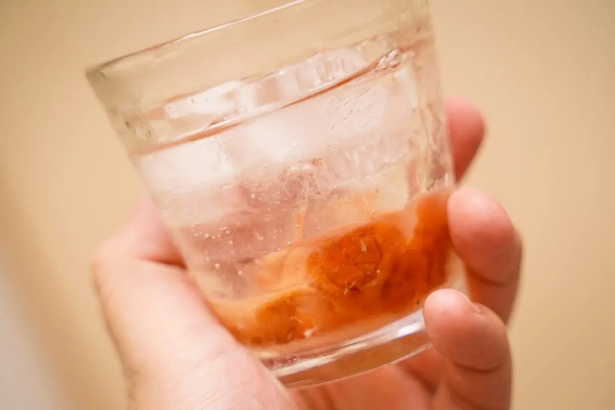 sirabee20240119takohai_2