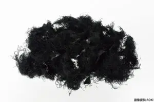 sirabee20240125aoki4