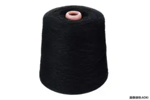 sirabee20240125aoki9