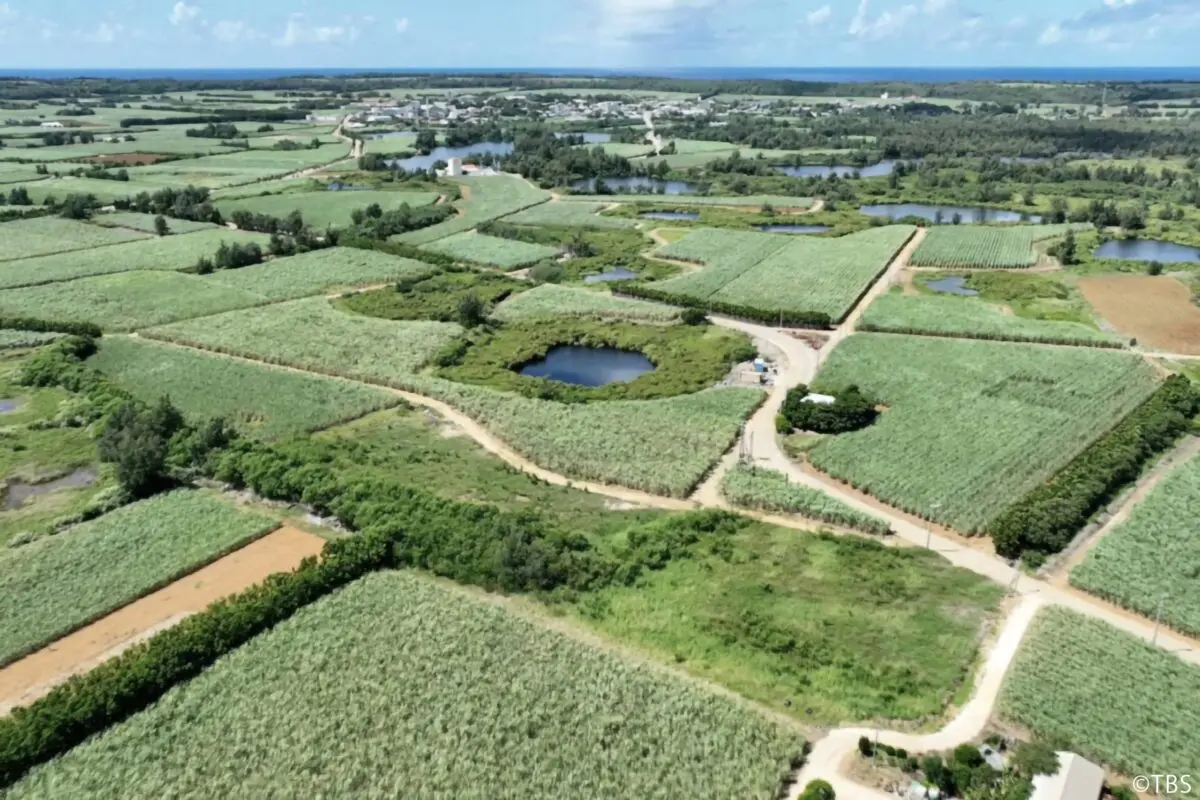 sirabee20240202crazyjourney4