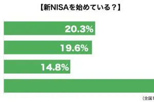 sirabee20240204nisa1