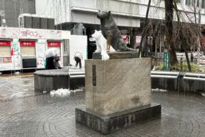 sirabee20240206hachiko2