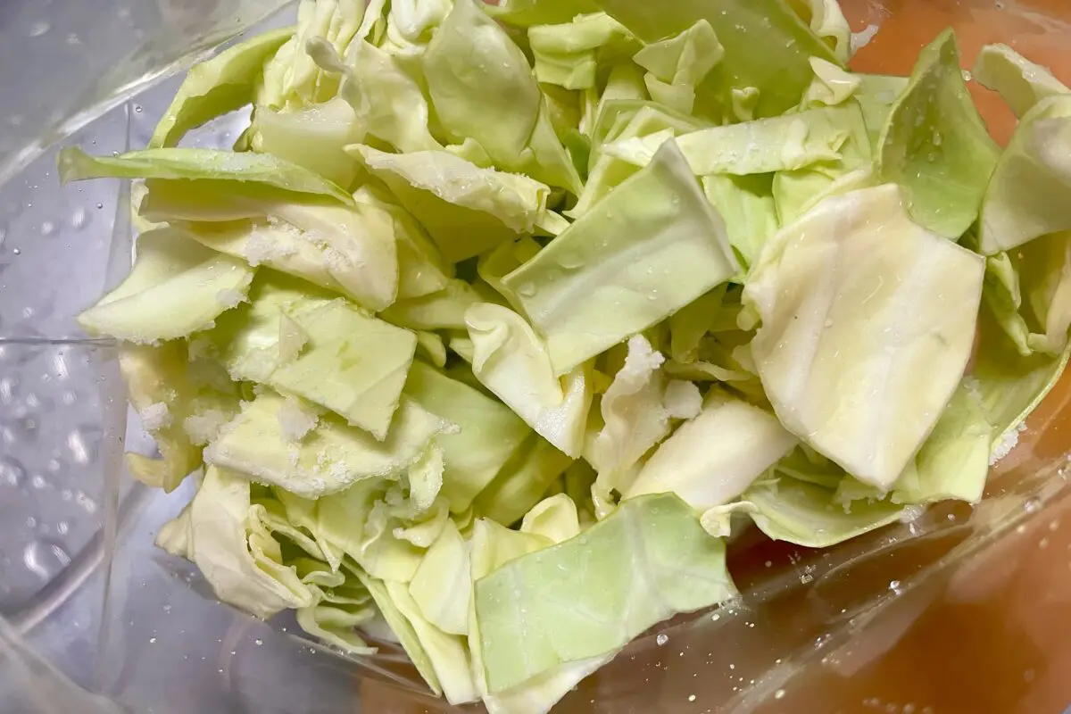 sirabee20240215cabbage2