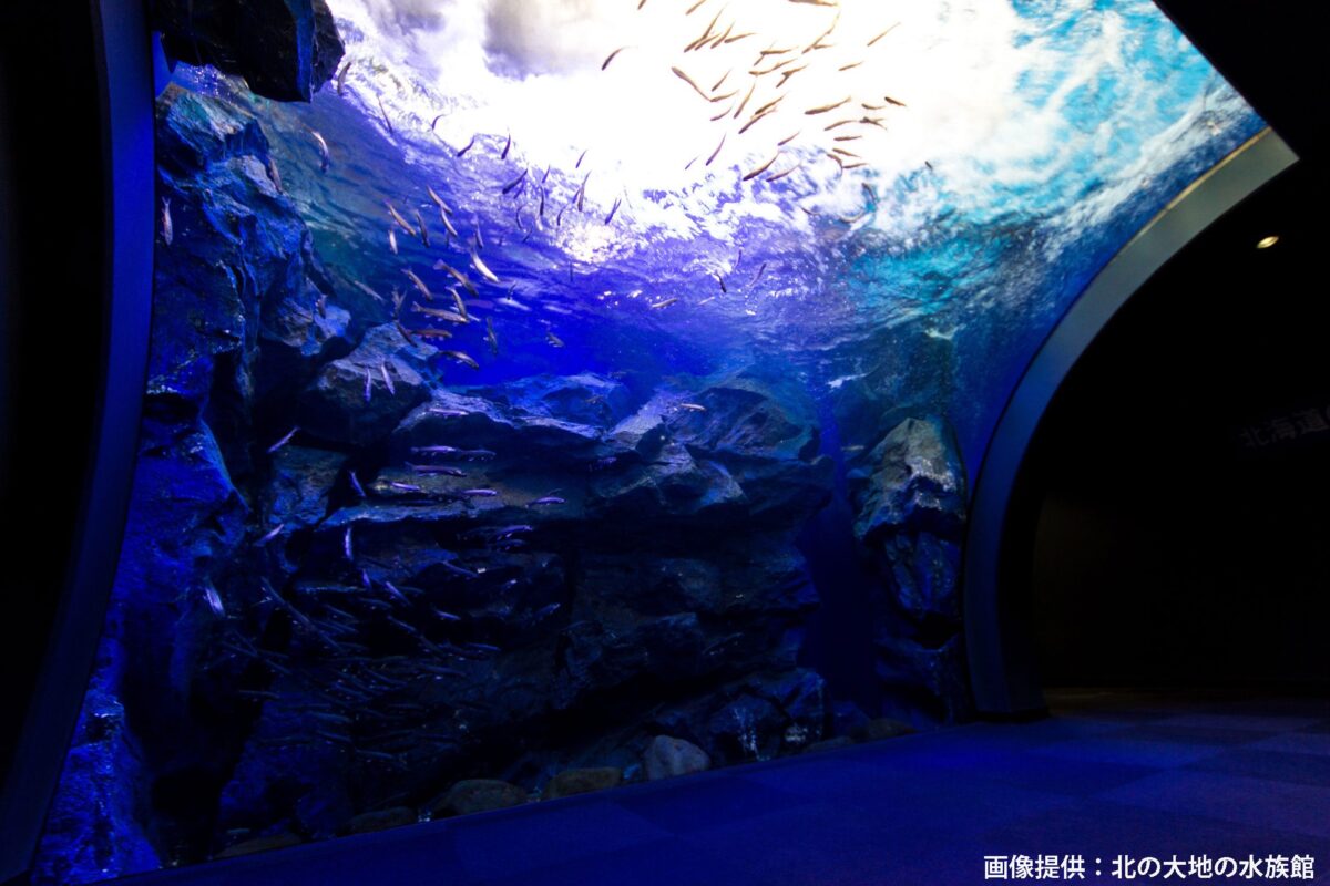 北の大地の水族館