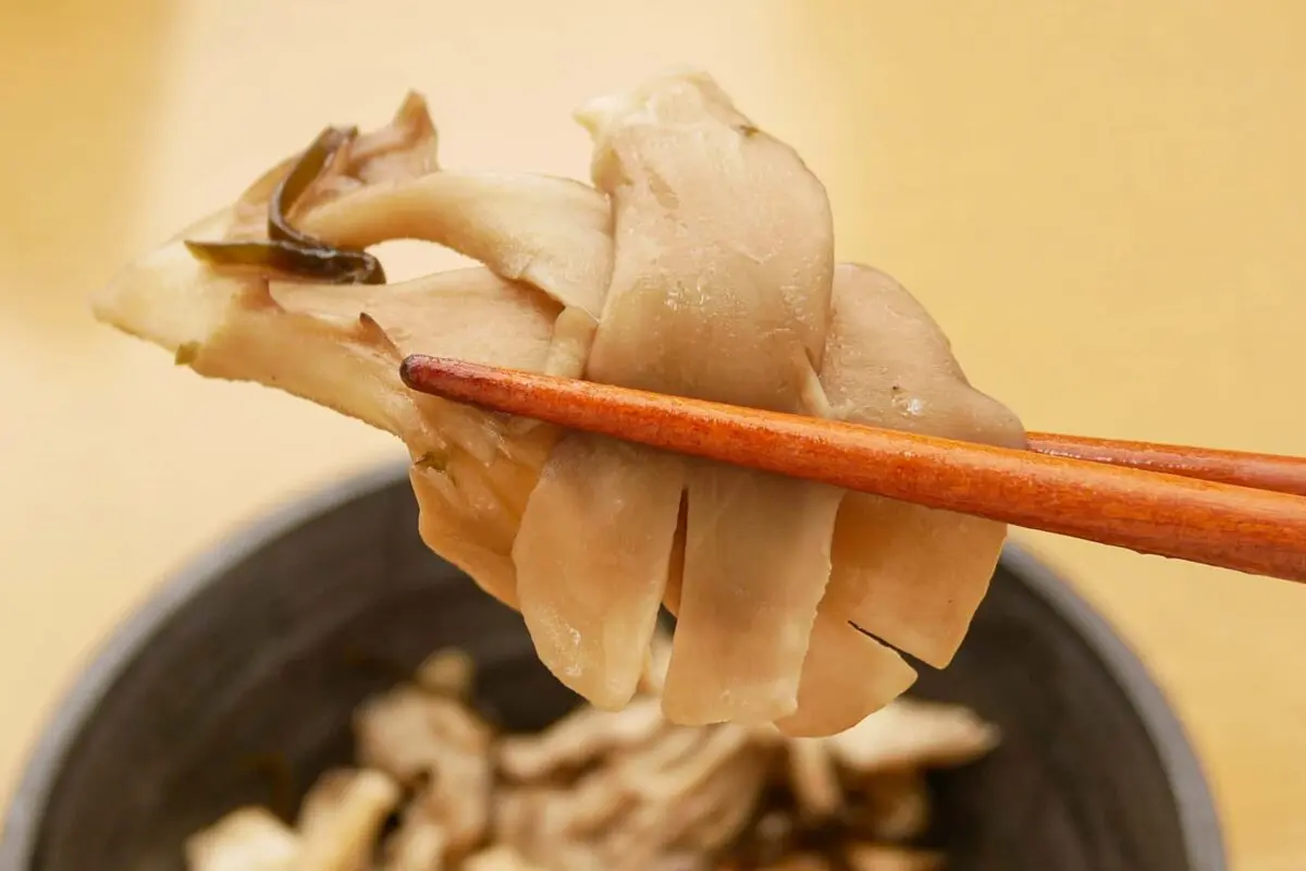 sirabee20240301iwrap5