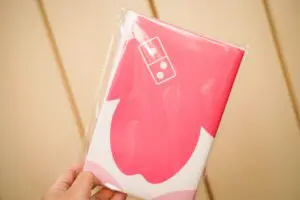 sirabee20240304dominospizza_6