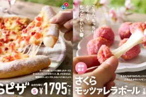 sirabee20240304dominospizza_7