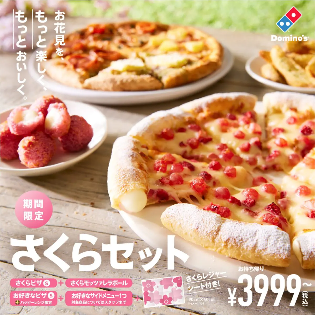 sirabee20240304dominospizza_8
