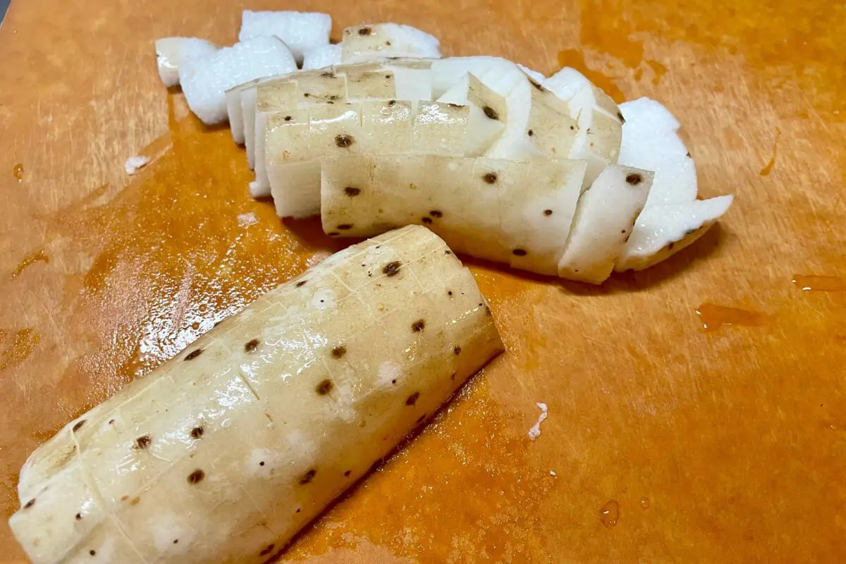 sirabee20240306nagaimonatto2