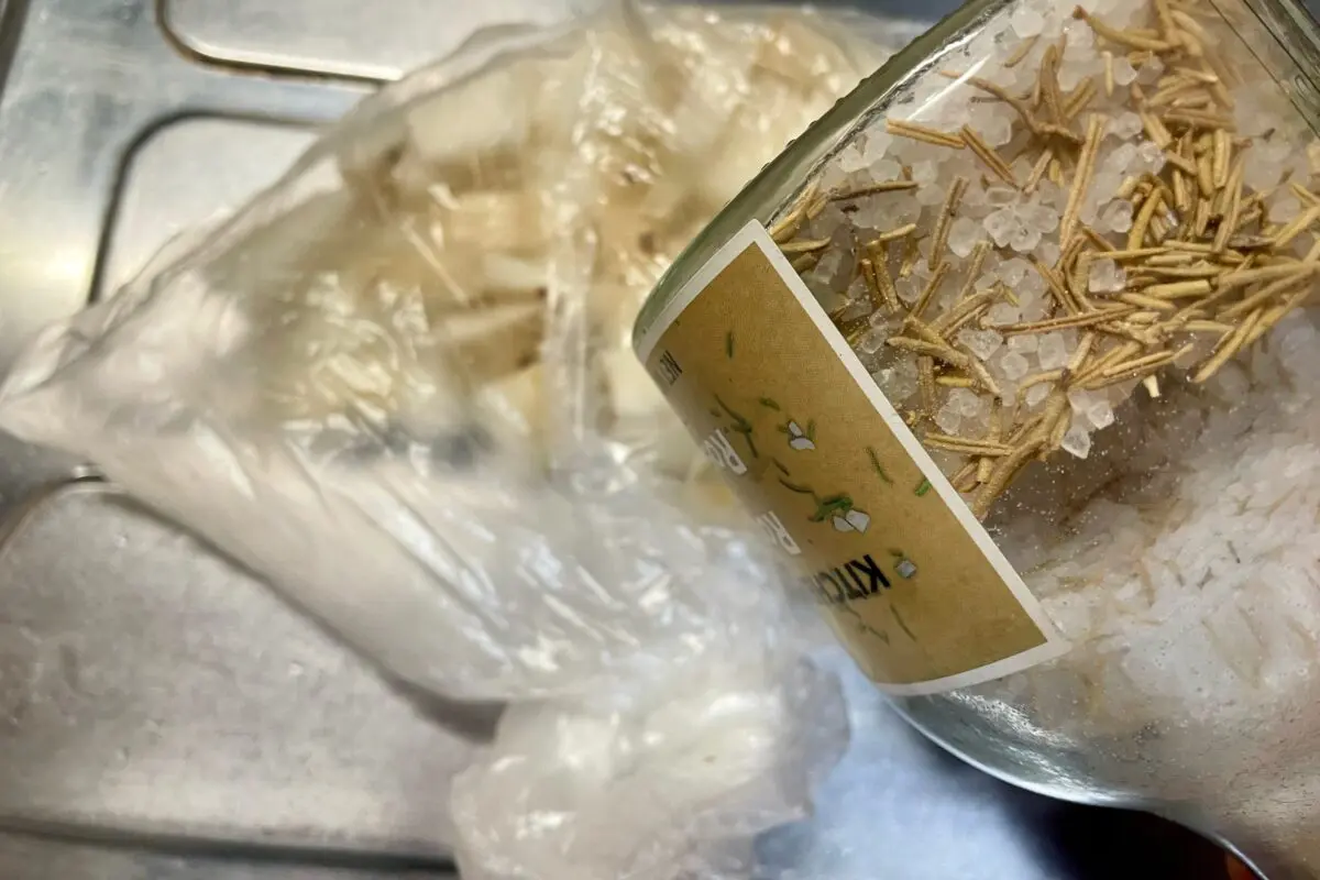 sirabee20240306nagaimonatto3