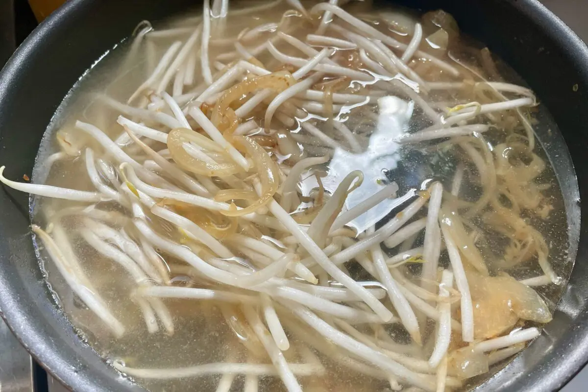 sirabee20240307sapporo4