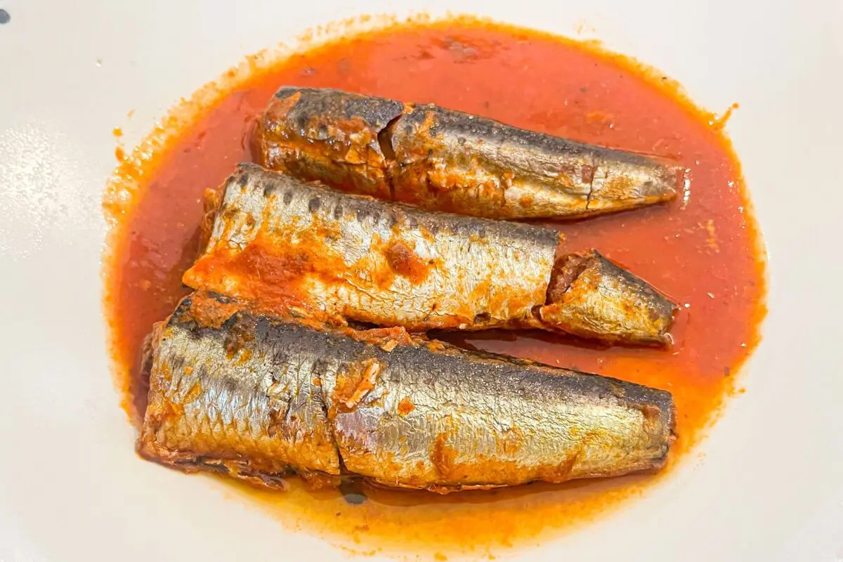 sirabee20240308iwashi4