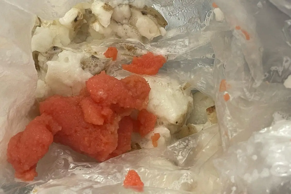 sirabee20240328nagaimo3