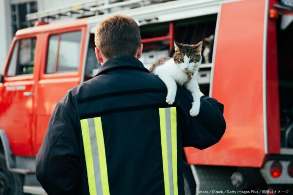 消防隊・レスキュー隊・消防士・猫