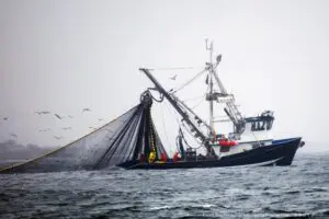 スペイン政府がAI技術用いた密漁船監視システム導入 年間2600万トンの闇市場取引を阻止