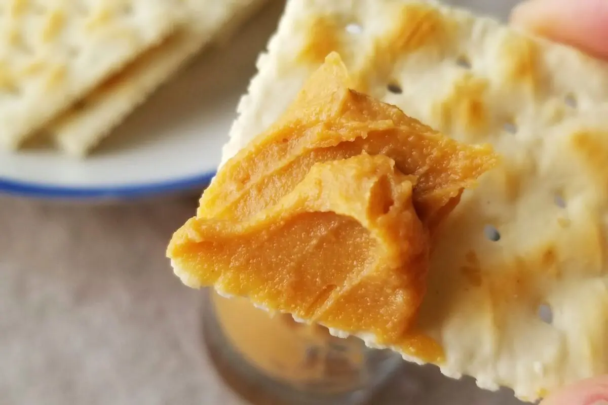 sirabee20240330kinako5