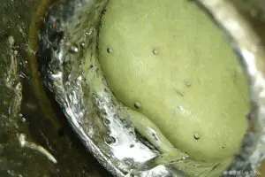 sirabee20240403coin4