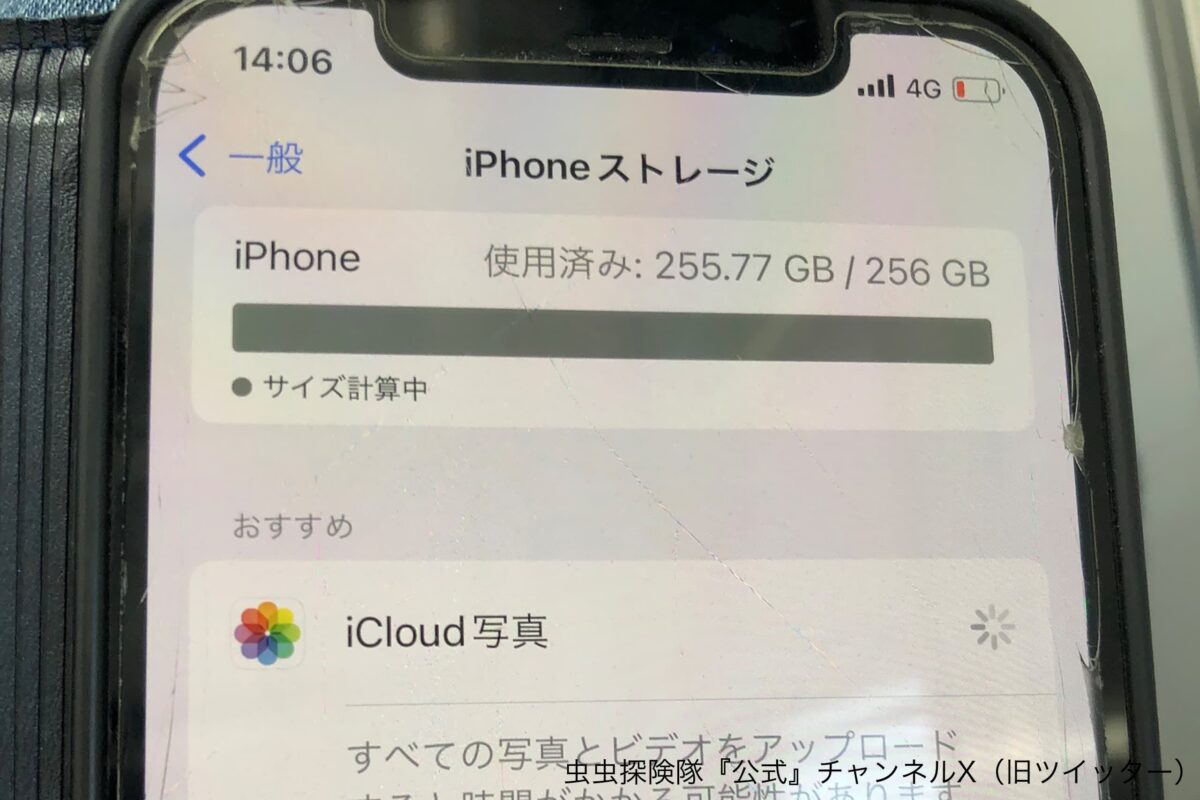 虫虫探険隊『公式』チャンネル