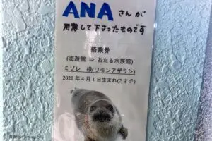 大阪→北海道の長旅、ANAの神対応がサプライズすぎる　「世界一優しい搭乗券」に称賛の嵐