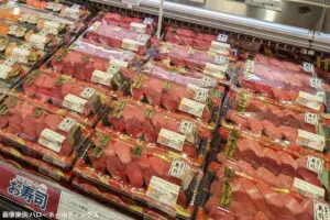 sirabee20240412baro3