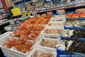 sirabee20240412baro5