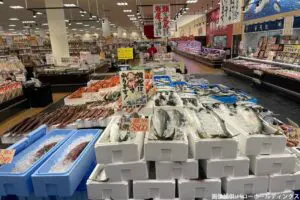 sirabee20240412baro6