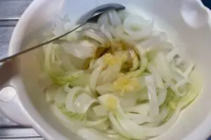 sirabee20240417onion3