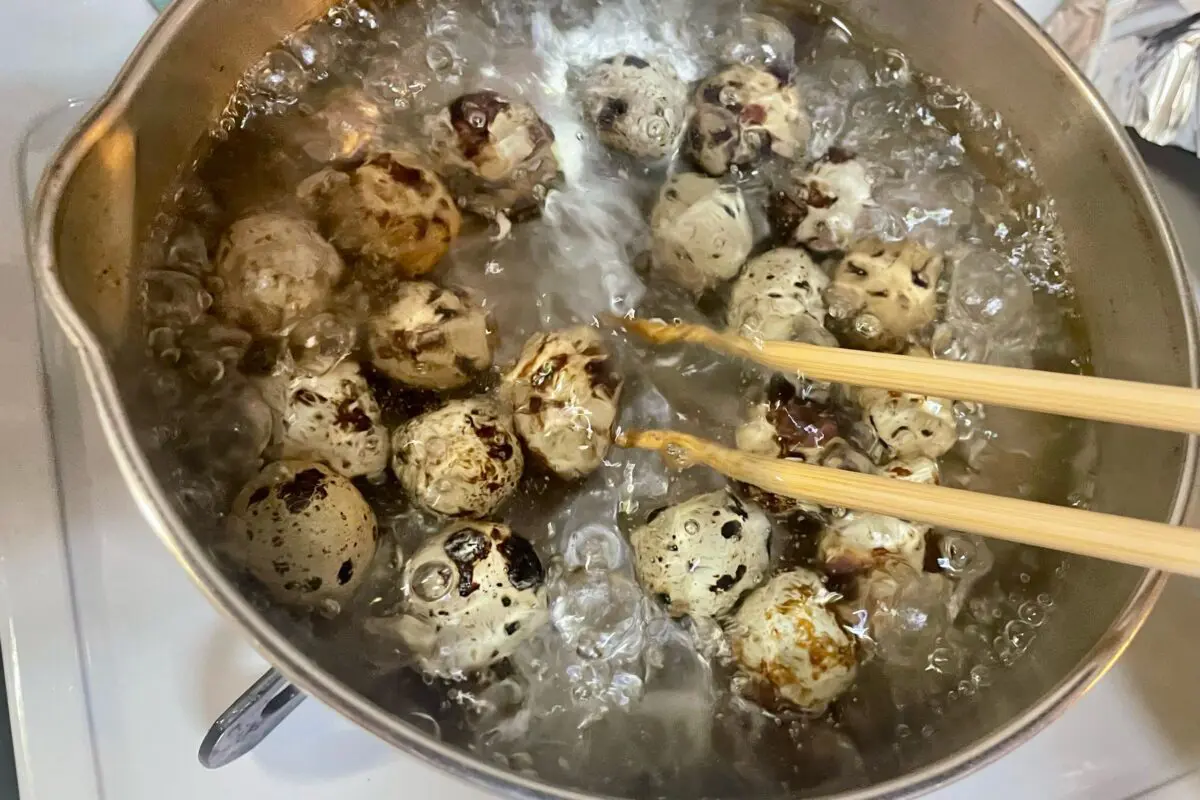 sirabee20240418uzura4