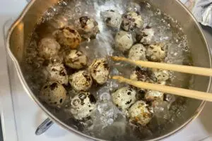 sirabee20240418uzura4